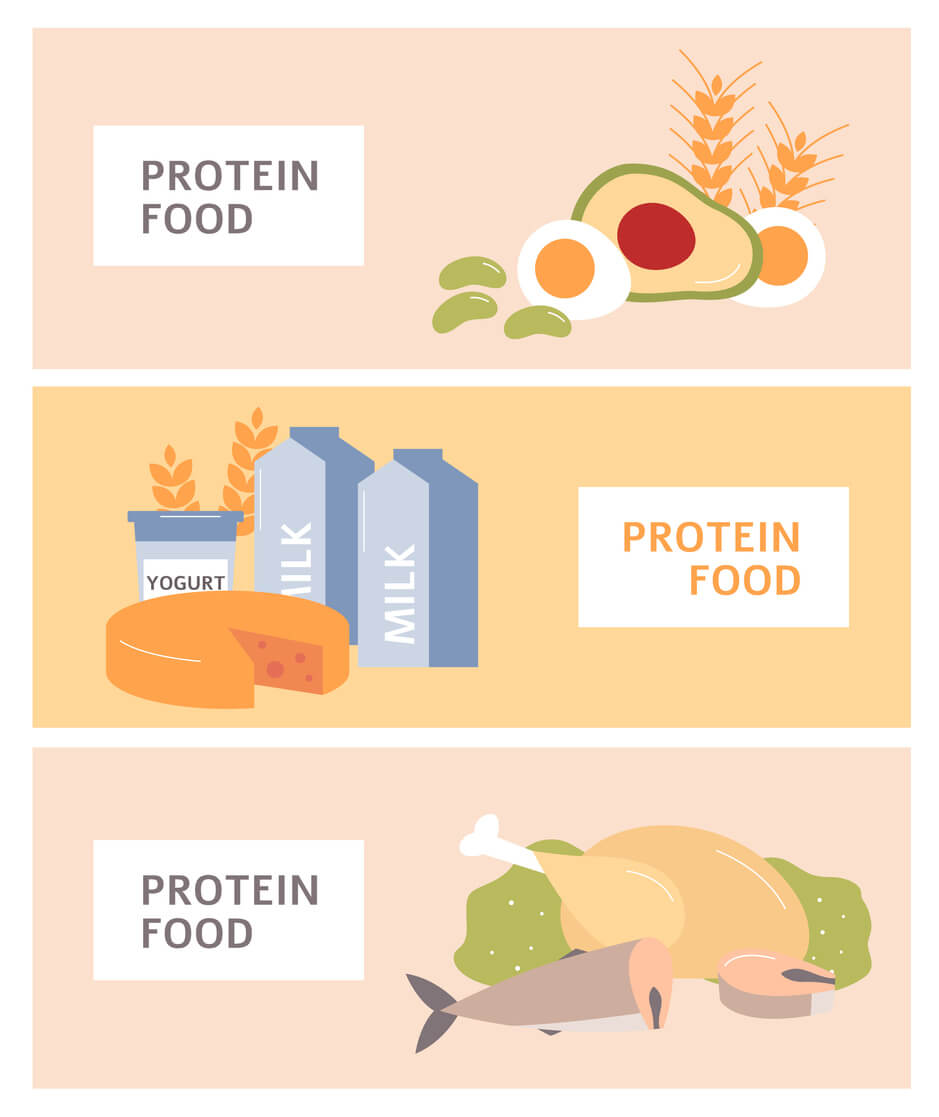 The Conversation about Eating Protein, its Benefits and Feeling Full ...